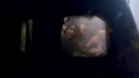 Spice_Up_Your_Life_28alternate_ver29_-01186.png