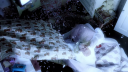 Too_Much_28Alternate_Ver29_-00082.png