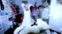 Too_Much_28Alternate_Ver29_-00377.png