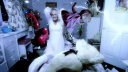 Too_Much_28Alternate_Ver29_-00378.png