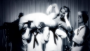 Too_Much_28Alternate_Ver29_-00575.png