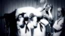Too_Much_28Alternate_Ver29_-00579.png