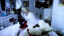 Too_Much_28Alternate_Ver29_-00629.png
