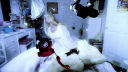 Too_Much_28Alternate_Ver29_-00630.png