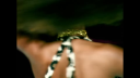 Who_Do_You_Think_You_Are_-00067.png