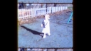 Mama_-01476~0.jpg