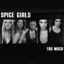 Spiceworld_-_Too_Much_Single_28129.jpg