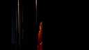 Headlines_-00076~0.png