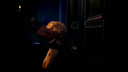 Headlines_-02050.png