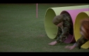 Filename=7_16_2026_4_54_25_PM.jpeg
Filesize=177KiB
Dimensions=1920x1200
Date added=Jul 30, 2026 7_16_2026_4_54_25_PM.jpeg