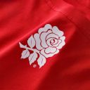 England_Ruby_x_Red_Roses_2025_284029.jpeg