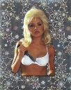 Filename=Spice_World_The_Movie_Sticker_Collection_Stickers_282229.jpg
Filesize=411KiB
Dimensions=703x882
Date added=Mar 11, 2026 Spice_World_The_Movie_Sticker_Collection_Stickers_282229.jpg